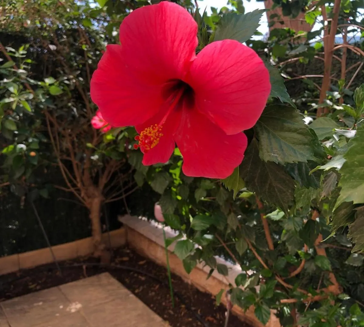 La Cala Del Moral Bonito Apartamento Con Jardin 0*, La Cala Del Moral ספרד